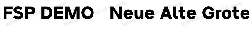 FSP DEMO   Neue Alte Grotesk字体转换